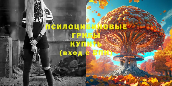 бошки Аркадак