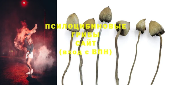 не бодяженный Армянск