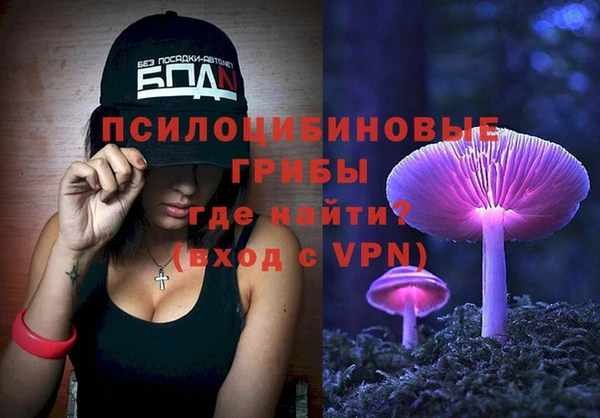 бошки Аркадак