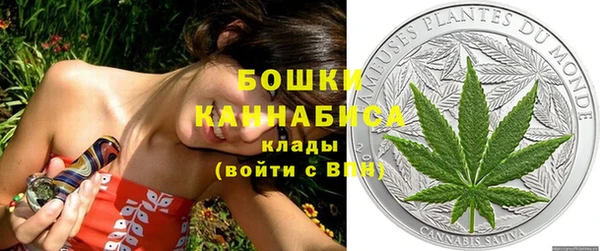 бошки Аркадак