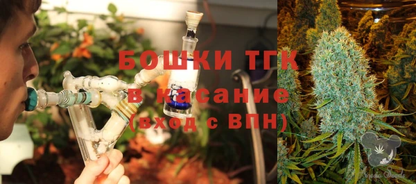 бошки Аркадак