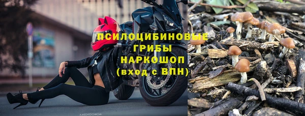 mdpv Арсеньев